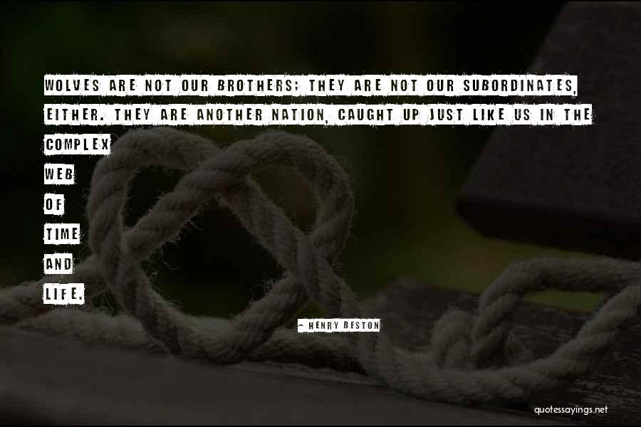 Brosius Lumber Quotes By Henry Beston Brosius Lumber Quotes By Henry Beston