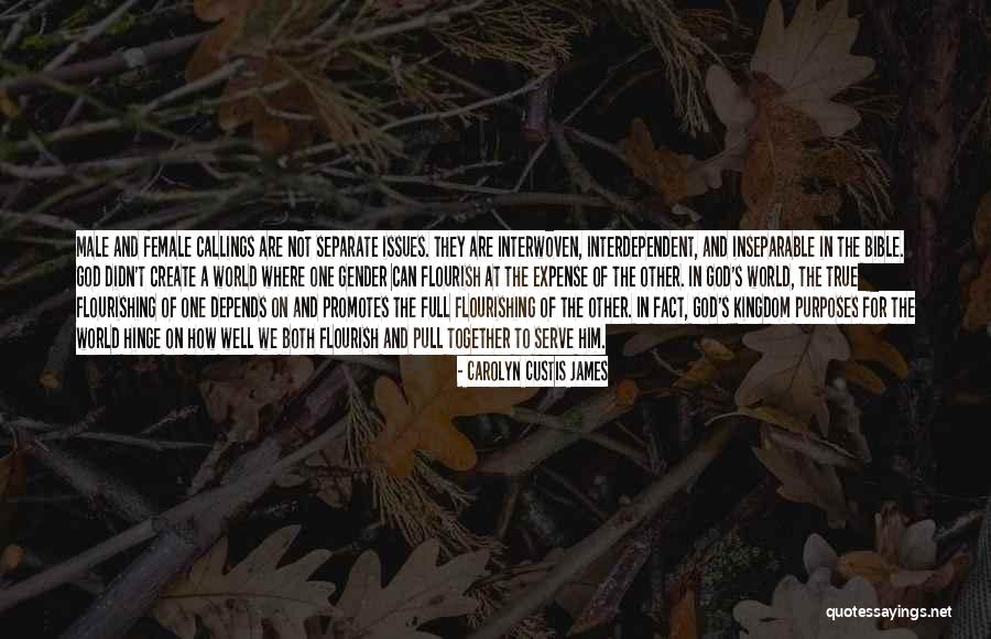 Brosnans Dingle Quotes By Carolyn Custis James Brosnans Dingle Quotes By Carolyn Custis James