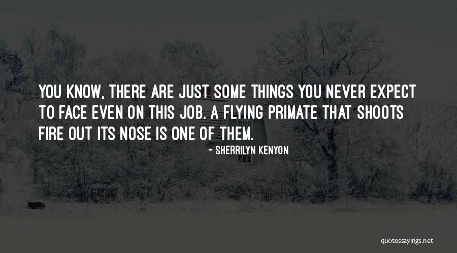Brosnans Dingle Quotes By Sherrilyn Kenyon Brosnans Dingle Quotes By Sherrilyn Kenyon