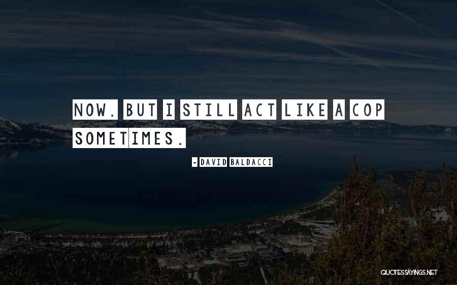 Brossman Foundation Quotes By David Baldacci Brossman Foundation Quotes By David Baldacci