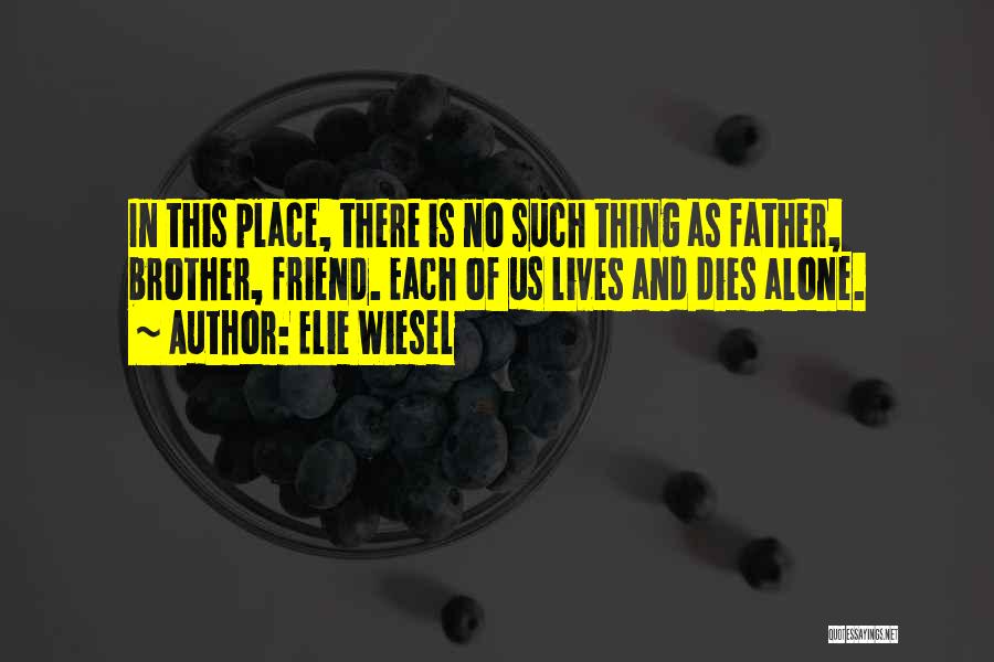 Brother And Father Quotes By Elie Wiesel