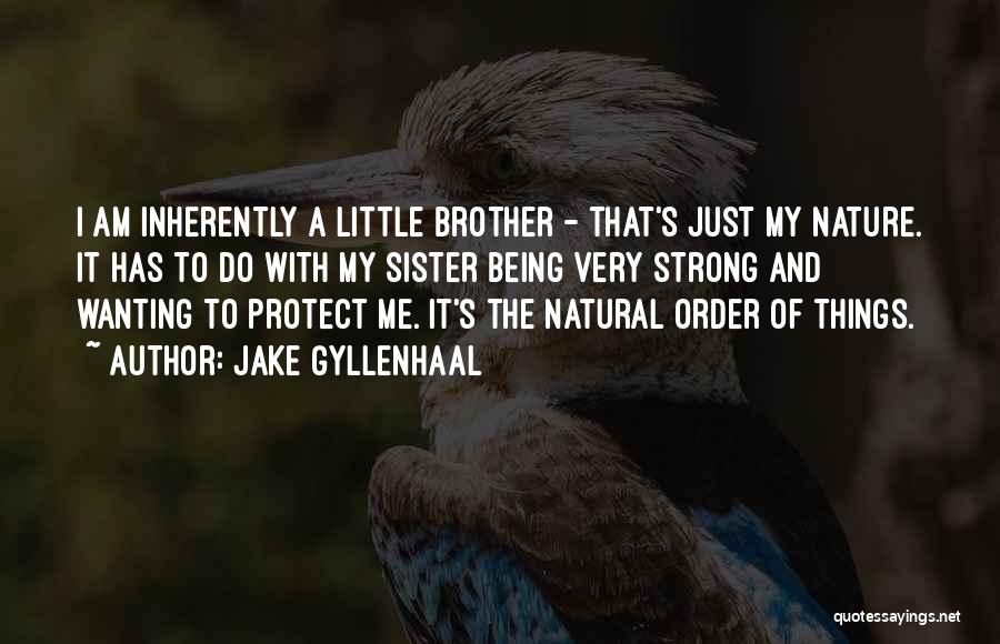 Brother And Little Sister Quotes By Jake Gyllenhaal