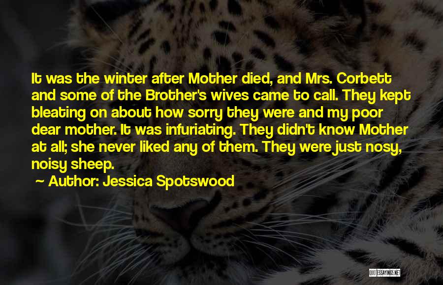 Brother Died Quotes By Jessica Spotswood