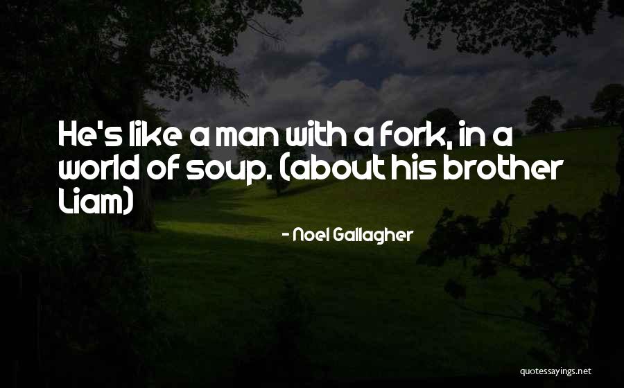 Brother Funny Quotes By Noel Gallagher