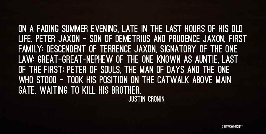 Brother In Law Quotes By Justin Cronin