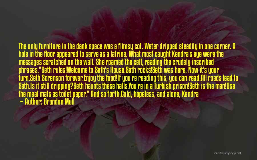 Brother N Sister Funny Quotes By Brandon Mull