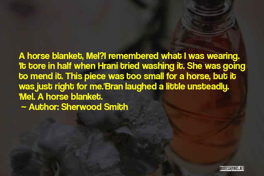 Brother N Sister Funny Quotes By Sherwood Smith