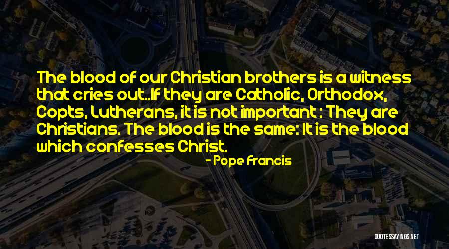 Brother Not By Blood Quotes By Pope Francis Brother Not By Blood Quotes By Pope Francis
