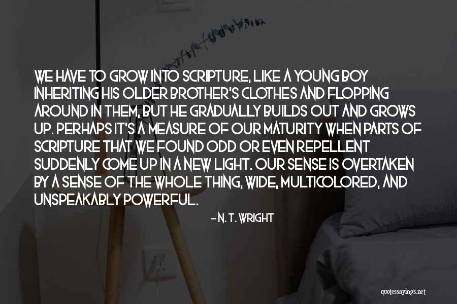 Brother Odd Quotes By N. T. Wright Brother Odd Quotes By N. T. Wright