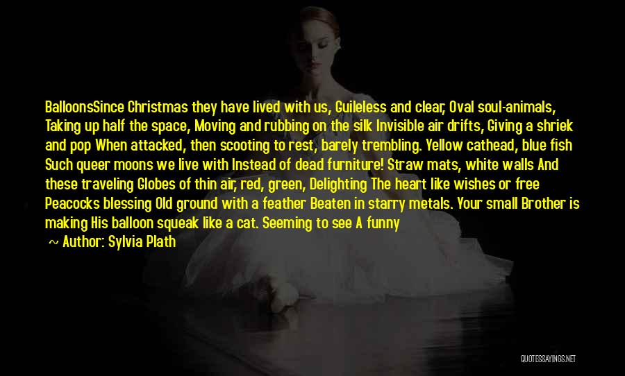 Brother On Christmas Quotes By Sylvia Plath