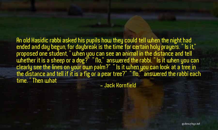 Brother Or Sister Quotes By Jack Kornfield Brother Or Sister Quotes By Jack Kornfield