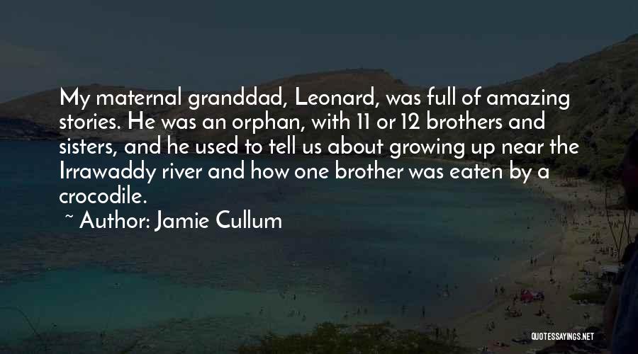 Brother Quotes By Jamie Cullum