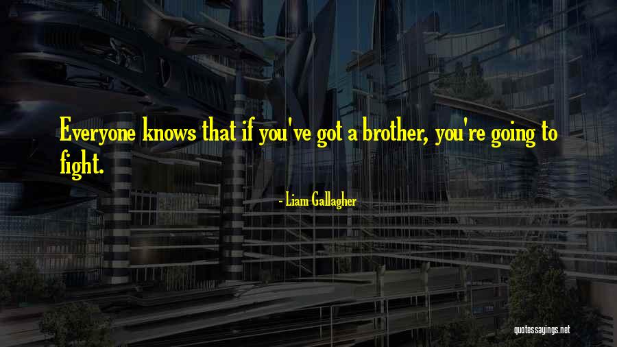 Brother Quotes By Liam Gallagher