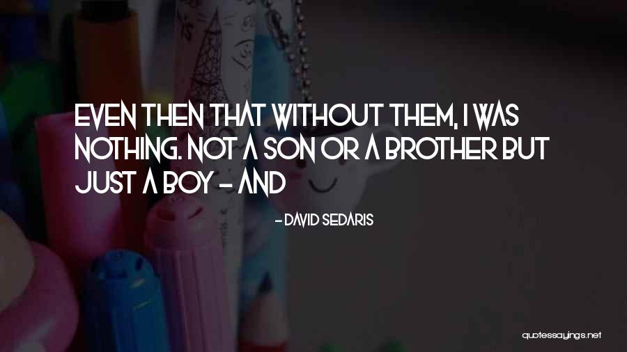 Brother Son Quotes By David Sedaris