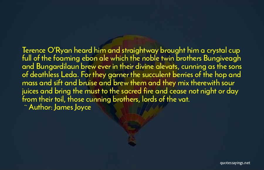 Brother Son Quotes By James Joyce