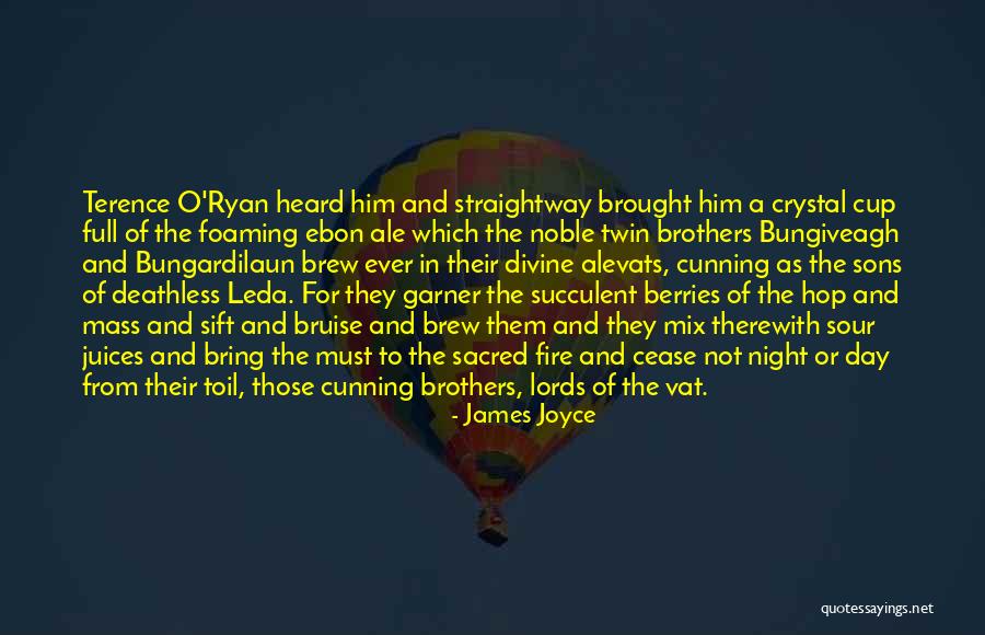 Brother Son Quotes By James Joyce Brother Son Quotes By James Joyce
