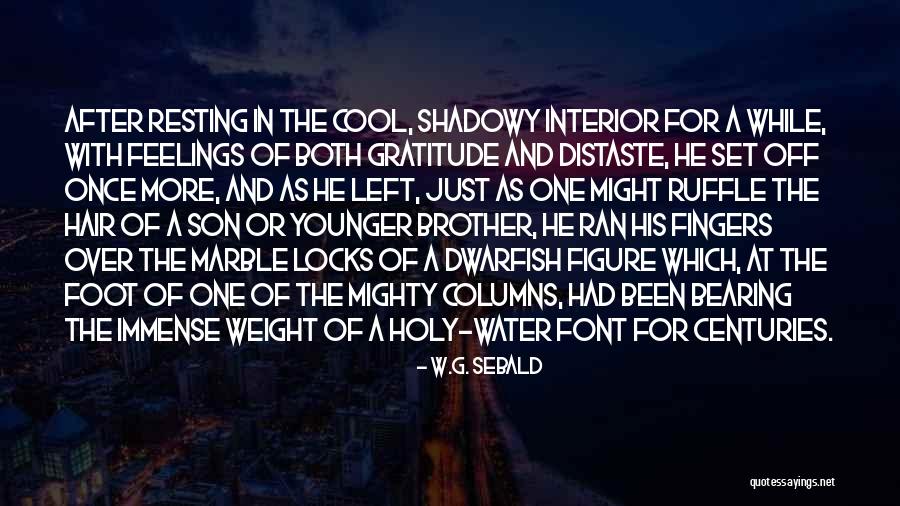 Brother Son Quotes By W.G. Sebald Brother Son Quotes By W.G. Sebald