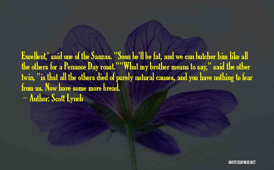 Brother Who Died Quotes By Scott Lynch