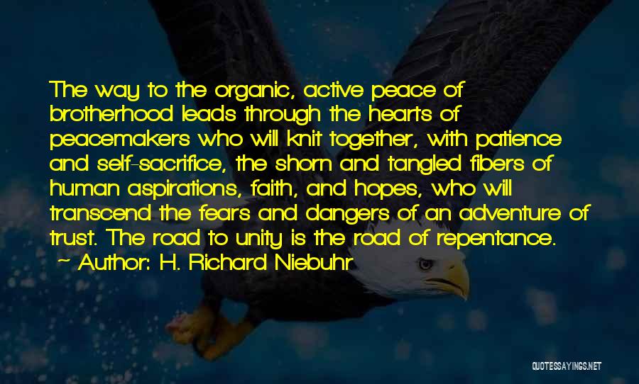 Brotherhood And Unity Quotes By H. Richard Niebuhr