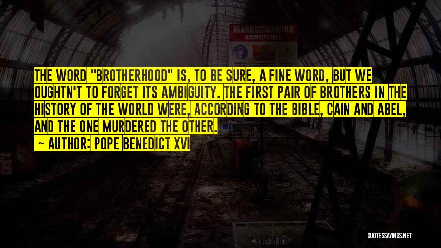 Brotherhood In The Bible Quotes By Pope Benedict XVI