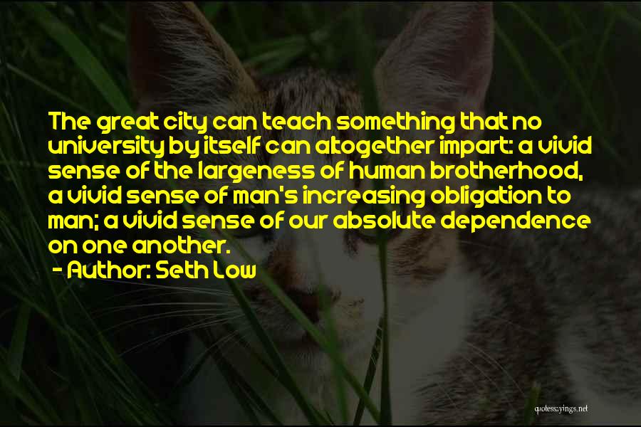 Brotherhood Of Man Quotes By Seth Low