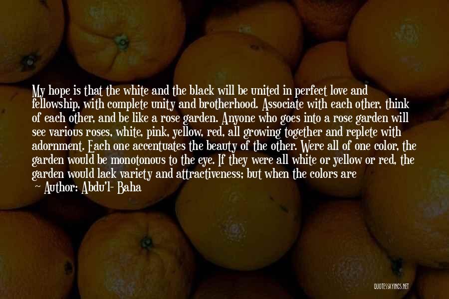 Brotherhood Unity Quotes By Abdu'l- Baha