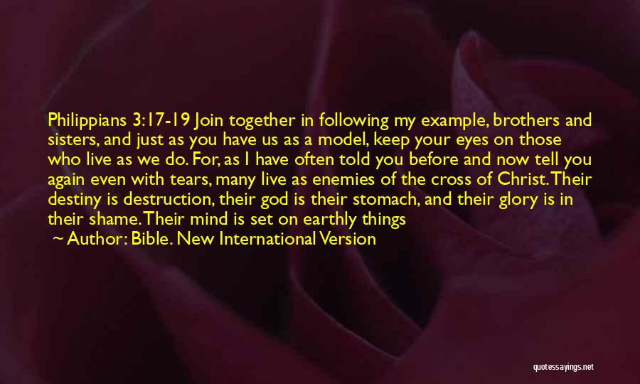 Brothers And Sisters Together Quotes By Bible. New International Version