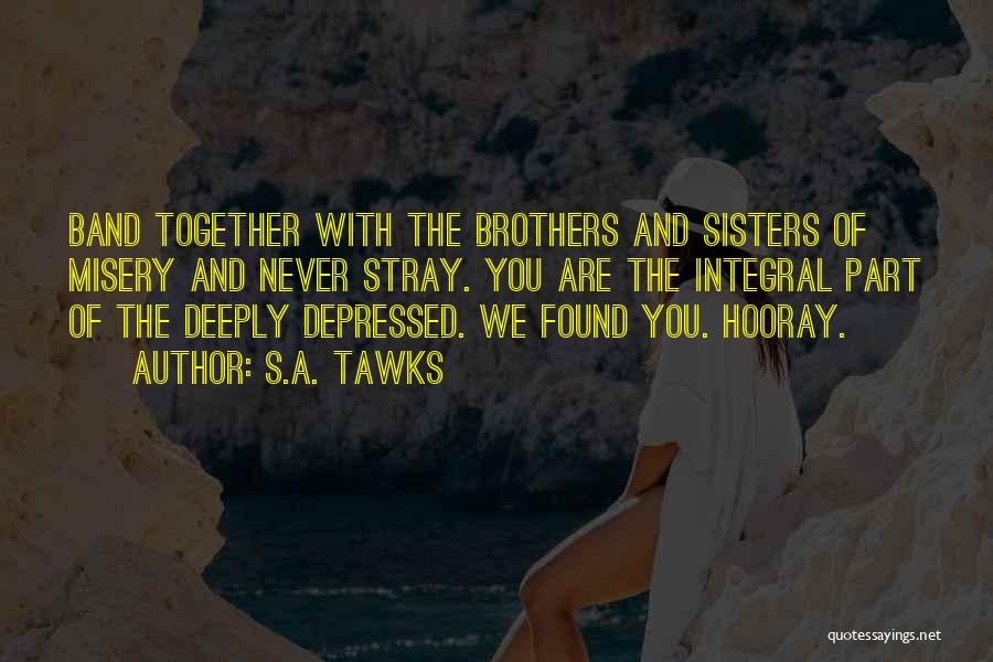 Brothers And Sisters Together Quotes By S.A. Tawks