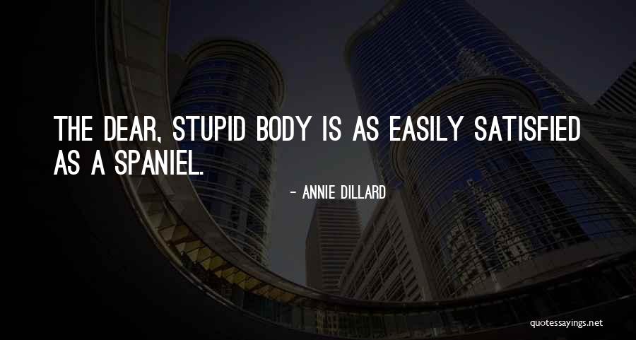 Brothers Bloom Penelope Quotes By Annie Dillard Brothers Bloom Penelope Quotes By Annie Dillard