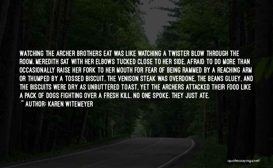 Brothers Fighting Quotes By Karen Witemeyer