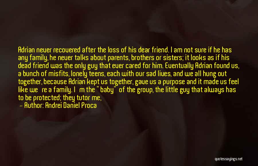 Brothers From Little Sisters Quotes By Andrei Daniel Proca