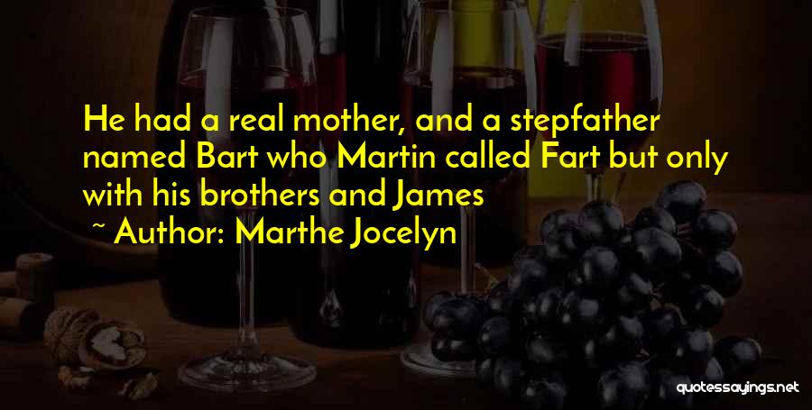 Brothers Funny Quotes By Marthe Jocelyn