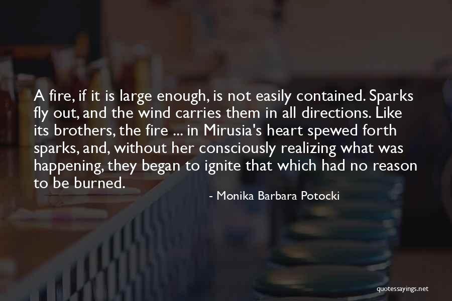 Brothers Quotes By Monika Barbara Potocki