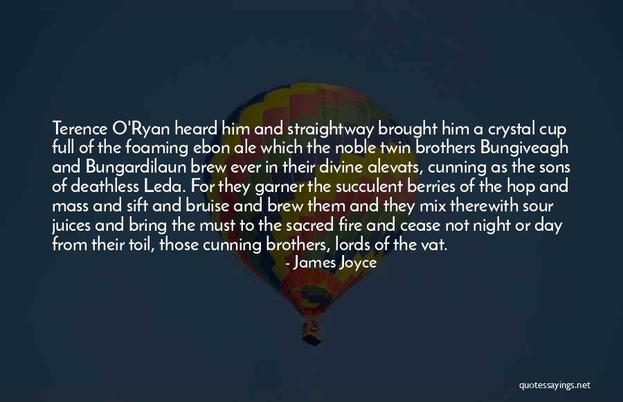 Brothers Terence Quotes By James Joyce Brothers Terence Quotes By James Joyce