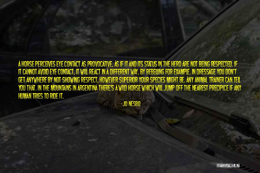 Brotzu Review Quotes By Jo Nesbo Brotzu Review Quotes By Jo Nesbo