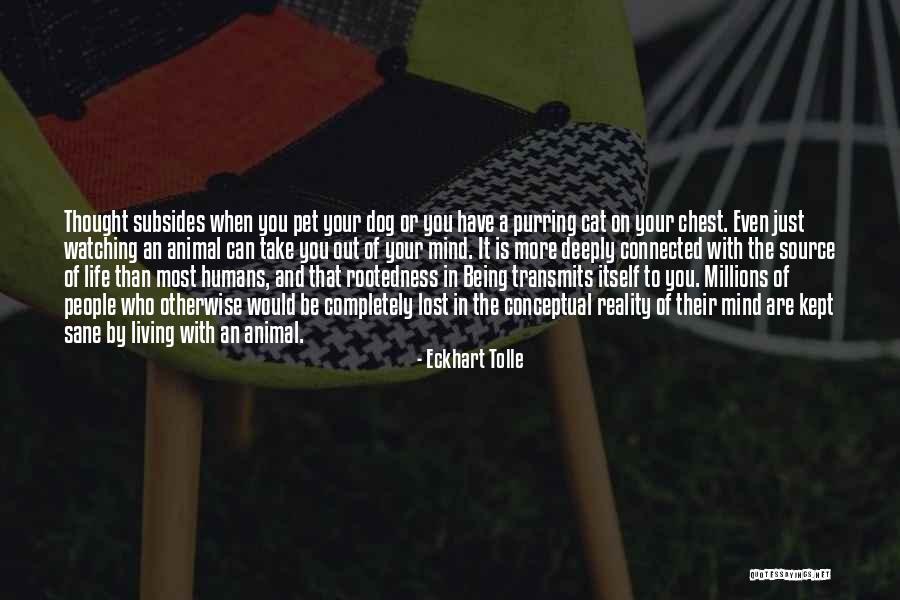 Broudy Printing Quotes By Eckhart Tolle Broudy Printing Quotes By Eckhart Tolle