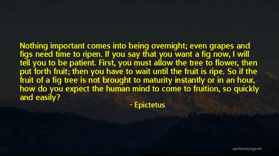 Brought To Fruition Quotes By Epictetus Brought To Fruition Quotes By Epictetus