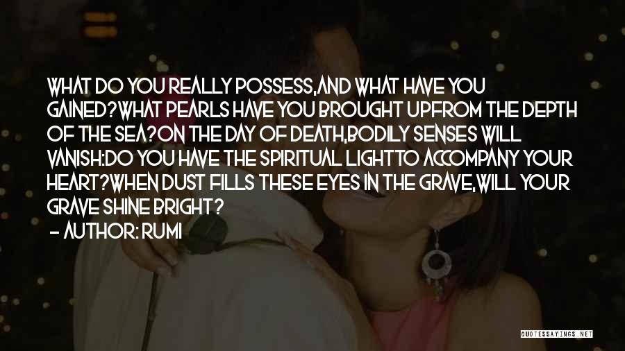 Brought To Light Quotes By Rumi