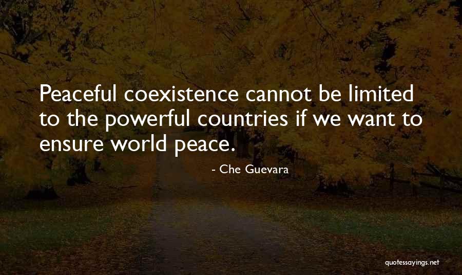 Browbeaten Husband Quotes By Che Guevara Browbeaten Husband Quotes By Che Guevara
