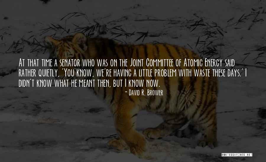 Brower Quotes By David R. Brower Brower Quotes By David R. Brower