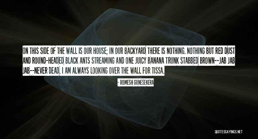 Brown And Black Quotes By Romesh Gunesekera Brown And Black Quotes By Romesh Gunesekera