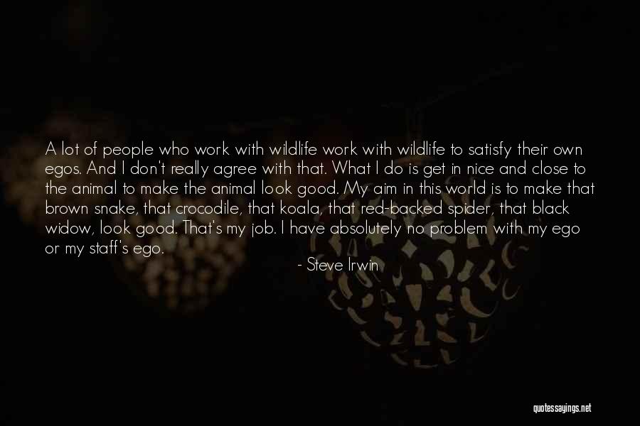 Brown And Black Quotes By Steve Irwin Brown And Black Quotes By Steve Irwin