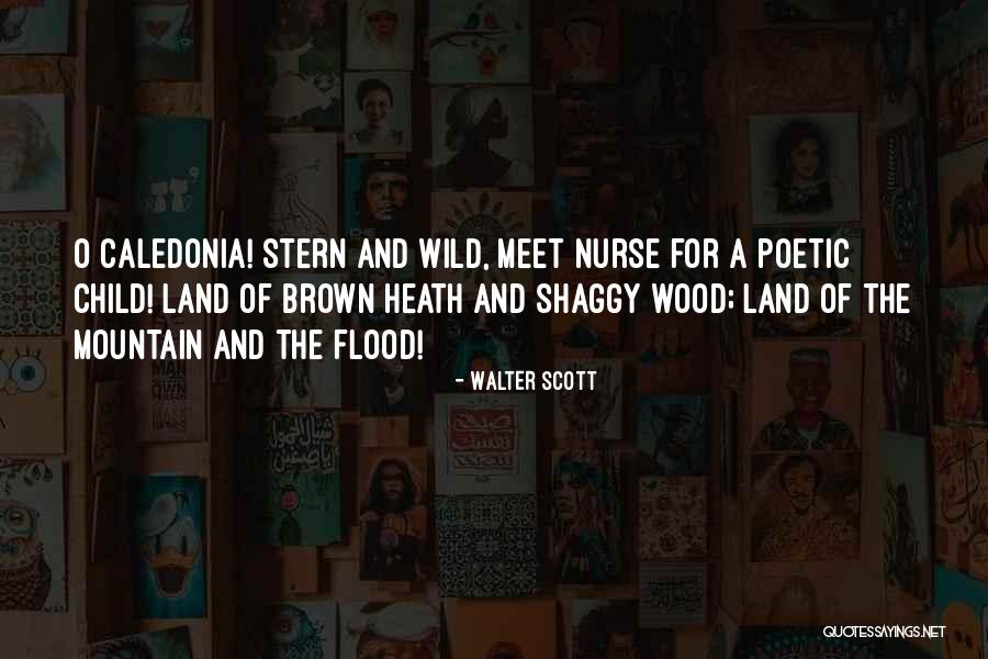 Brown And Wood Quotes By Walter Scott Brown And Wood Quotes By Walter Scott