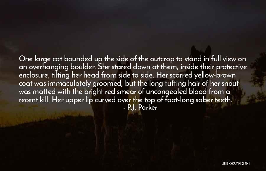 Brown Coat Quotes By P.J. Parker Brown Coat Quotes By P.J. Parker