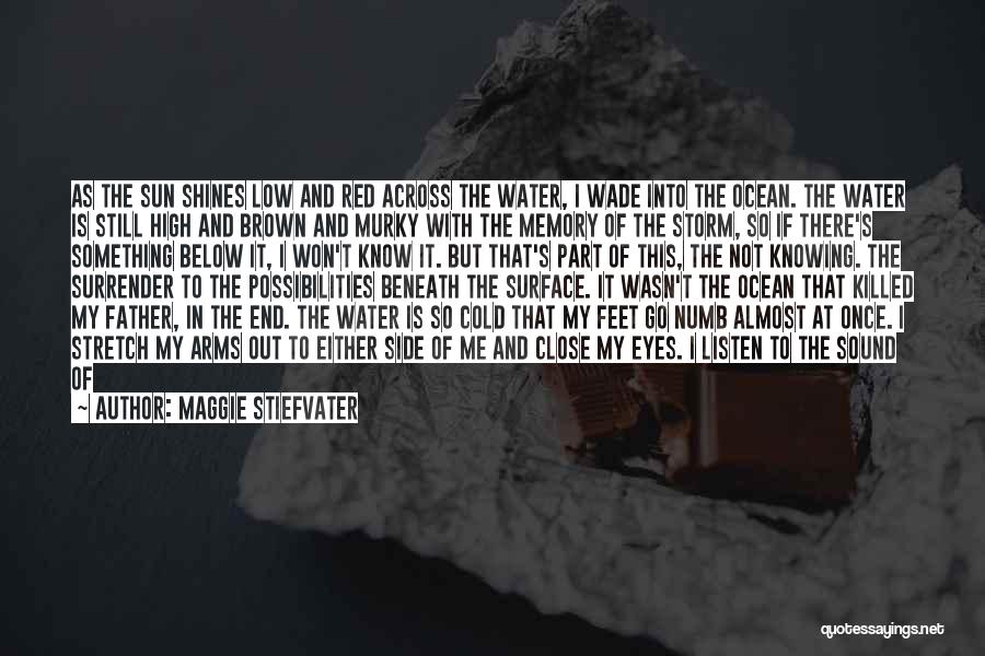 Brown Coats Quotes By Maggie Stiefvater