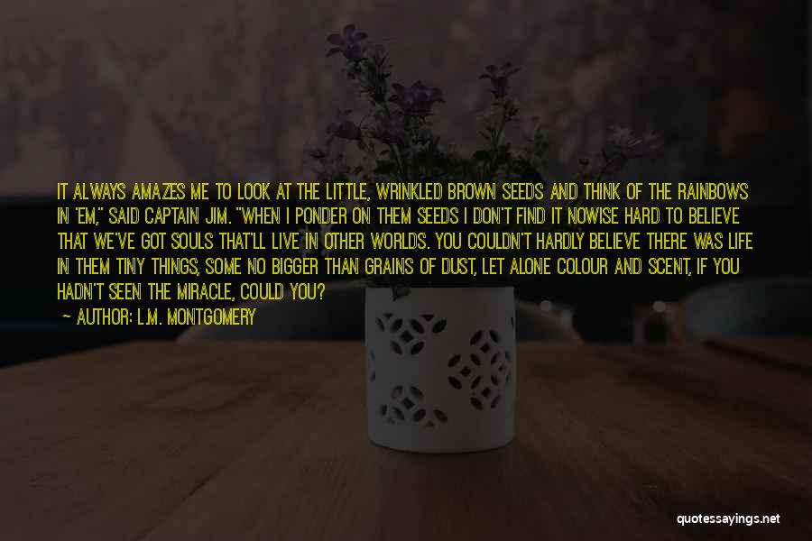 Brown Colour Quotes By L.M. Montgomery