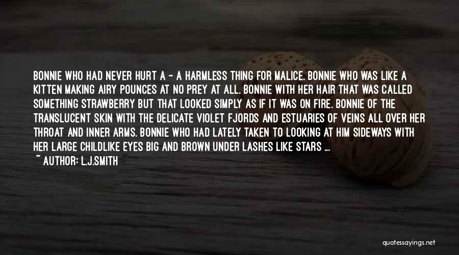 Brown Eyes And Brown Hair Quotes By L.J.Smith