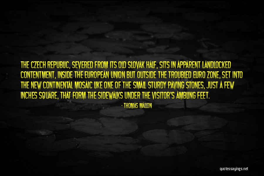 Brown Eyes In The Sun Quotes By Thomas Mallon Brown Eyes In The Sun Quotes By Thomas Mallon