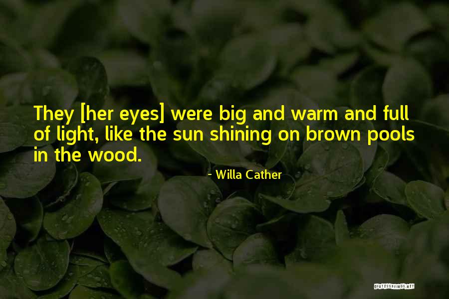 Brown Eyes In The Sun Quotes By Willa Cather Brown Eyes In The Sun Quotes By Willa Cather