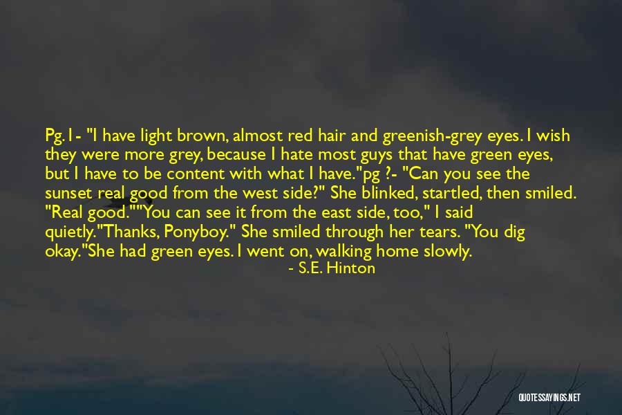 Brown Hair Brown Eyes Quotes By S.E. Hinton Brown Hair Brown Eyes Quotes By S.E. Hinton